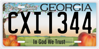 GA license plate CXI1344