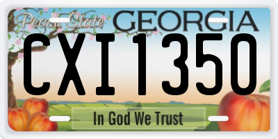 GA license plate CXI1350