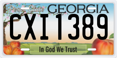 GA license plate CXI1389