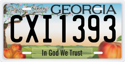 GA license plate CXI1393