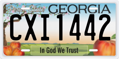 GA license plate CXI1442