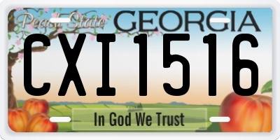 GA license plate CXI1516