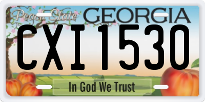 GA license plate CXI1530
