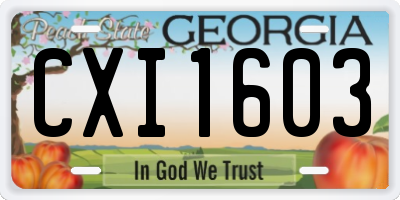 GA license plate CXI1603