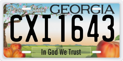GA license plate CXI1643