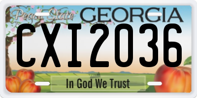 GA license plate CXI2036