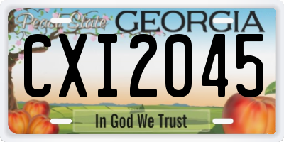 GA license plate CXI2045