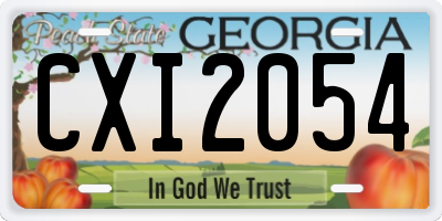 GA license plate CXI2054