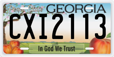 GA license plate CXI2113