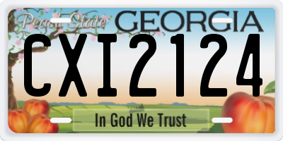 GA license plate CXI2124