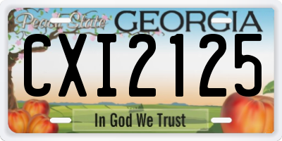 GA license plate CXI2125