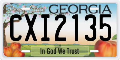 GA license plate CXI2135