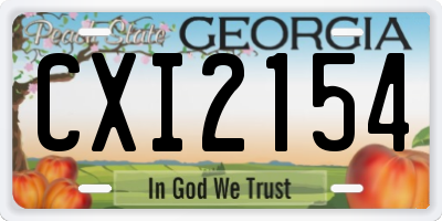 GA license plate CXI2154
