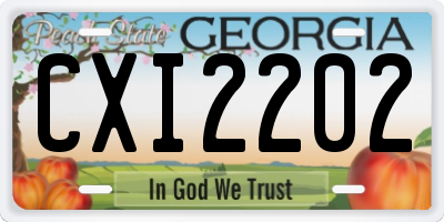 GA license plate CXI2202