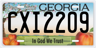 GA license plate CXI2209