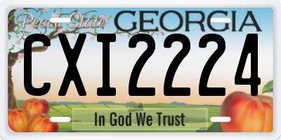 GA license plate CXI2224