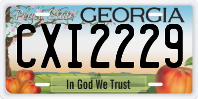 GA license plate CXI2229