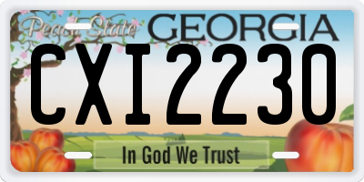 GA license plate CXI2230