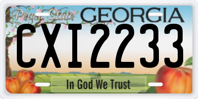 GA license plate CXI2233