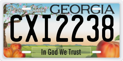 GA license plate CXI2238