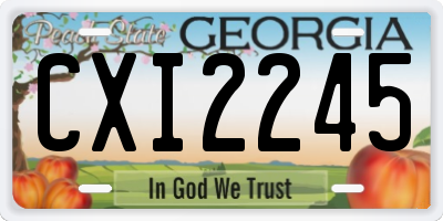 GA license plate CXI2245