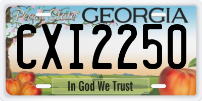 GA license plate CXI2250