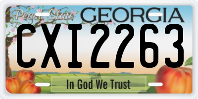 GA license plate CXI2263