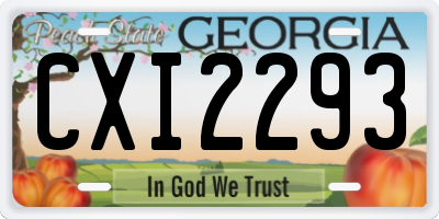 GA license plate CXI2293
