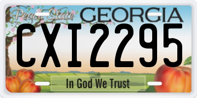 GA license plate CXI2295