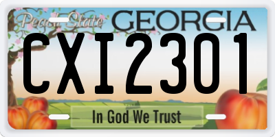 GA license plate CXI2301