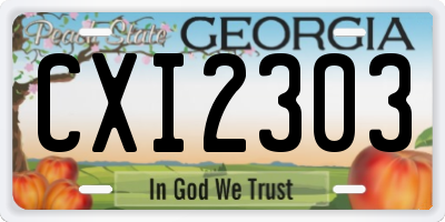 GA license plate CXI2303