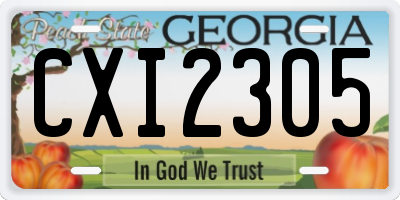 GA license plate CXI2305