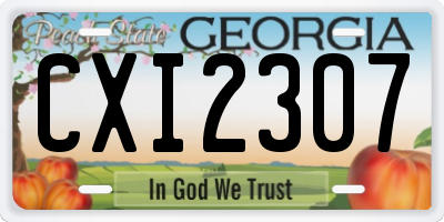 GA license plate CXI2307