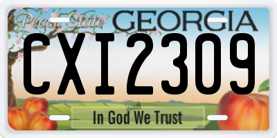 GA license plate CXI2309