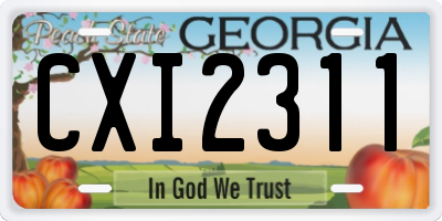 GA license plate CXI2311