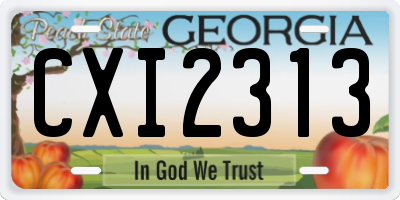 GA license plate CXI2313