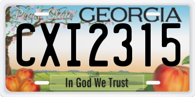 GA license plate CXI2315