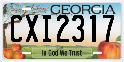 GA license plate CXI2317