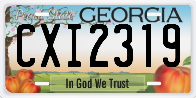 GA license plate CXI2319