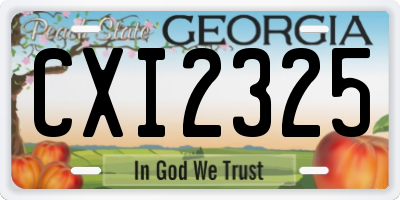 GA license plate CXI2325