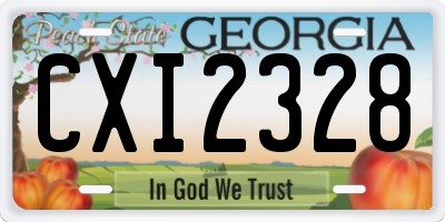GA license plate CXI2328