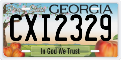 GA license plate CXI2329