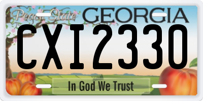 GA license plate CXI2330