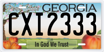 GA license plate CXI2333