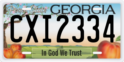 GA license plate CXI2334