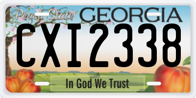 GA license plate CXI2338