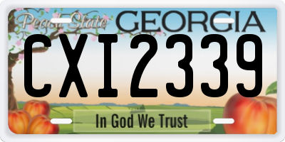 GA license plate CXI2339