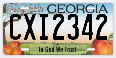 GA license plate CXI2342