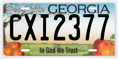 GA license plate CXI2377