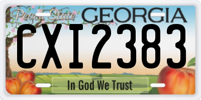 GA license plate CXI2383